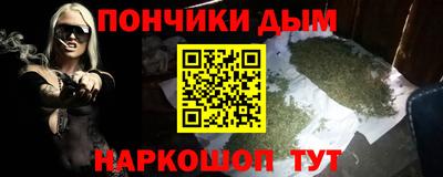 PSILOCYBIN Гатчина
