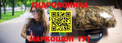 PSILOCYBIN Гатчина