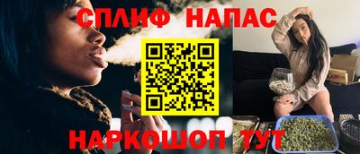 СК Гагарин