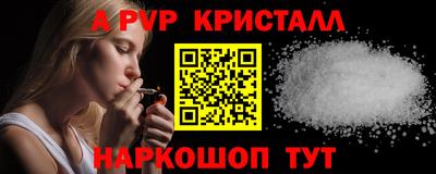 PSILOCYBIN Гатчина