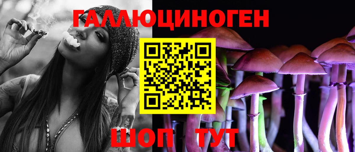 Псилоцибиновые грибы ЛСД Новоалександровск