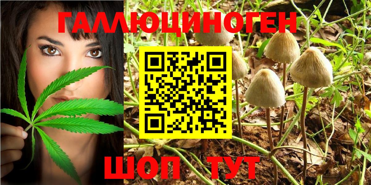 Новоалександровск  Галлюциногенные грибы MAGIC MUSHROOMS  Вход с VPN 